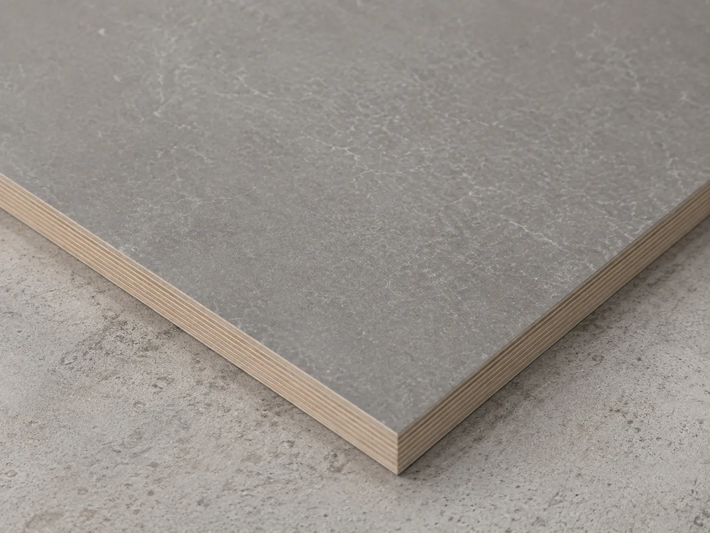 Melamine Faced Eucalyptus Core Plywood (2)