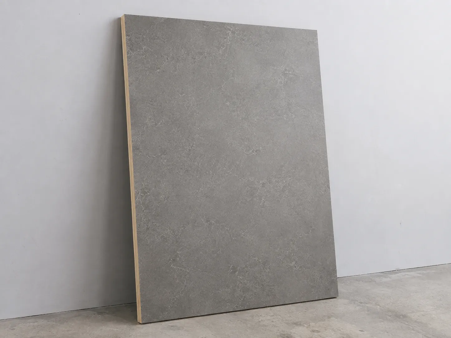 Melamine Faced Eucalyptus Core Plywood (6)